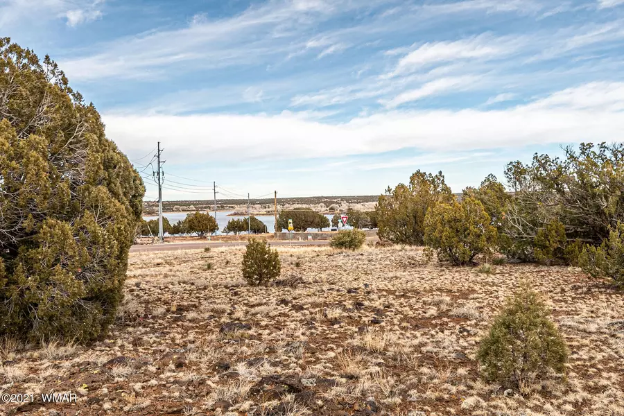 TBD Parcel 304-21-371V, White Mountain Lake, AZ 85912