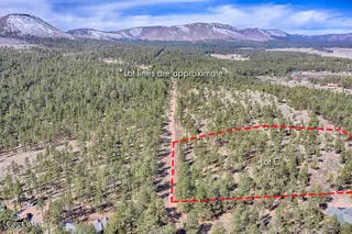 Alpine, AZ 85920,PARCEL C COUNTY ROAD N2147