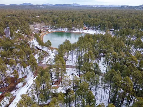 Pinetop, AZ 85935,2768 N Aspen RD