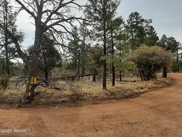 2769 High Ridge RD, Overgaard, AZ 85933