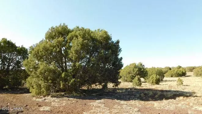 Lot 365 Cranmer Ave., Concho, AZ 85924