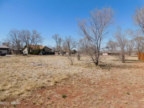 Springerville, AZ 85938,772 E Tori CIR