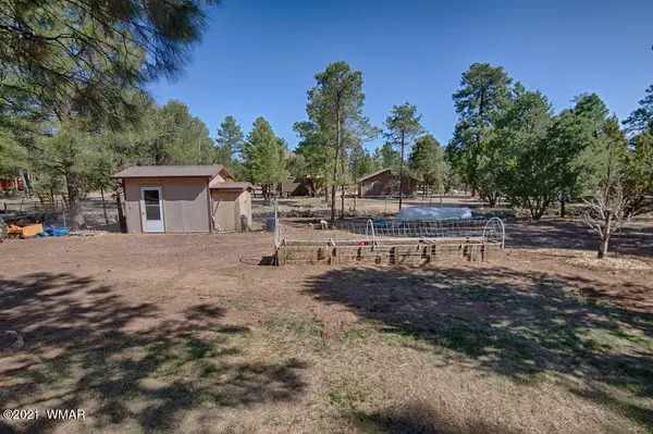 Overgaard, AZ 85933,2092 Roundup RD