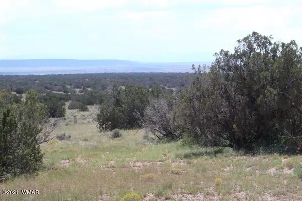 St. Johns, AZ 85936,Lot 554 Woodland Valley Ranch