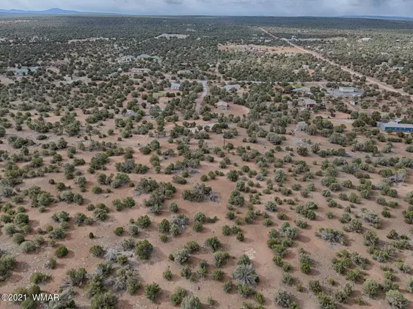 White Mountain Lake, AZ 85912,TBD Marken Ranch RD