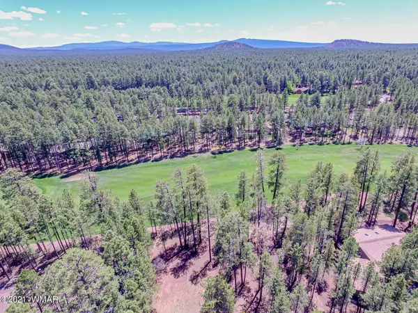 7171 Buck Springs RD, Pinetop, AZ 85935