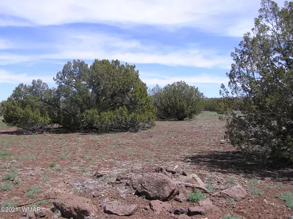 43 County Road 8142, Concho, AZ 85924