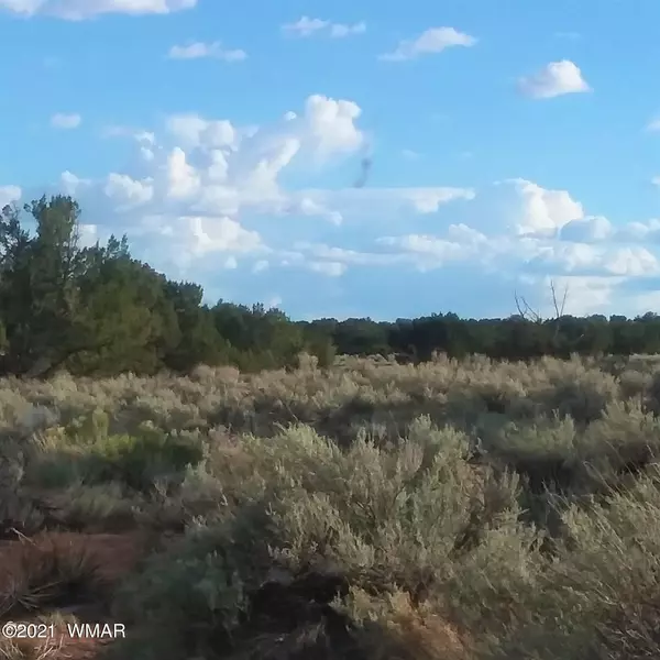 St. Johns, AZ 85936,Lot 230 Red Sky Ranch