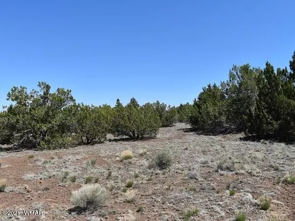 Concho, AZ 85924,36 County Road 8237