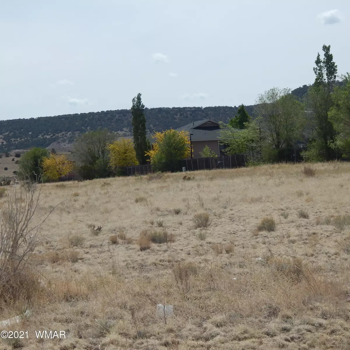 Eagar, AZ 85925,TBD E Central AVE