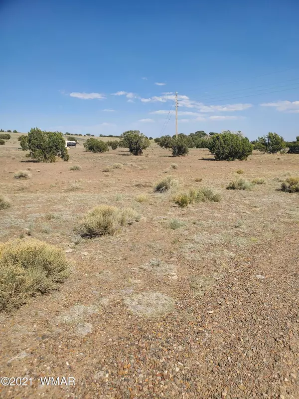 Concho Valley, AZ 85924,14 County Road 5203