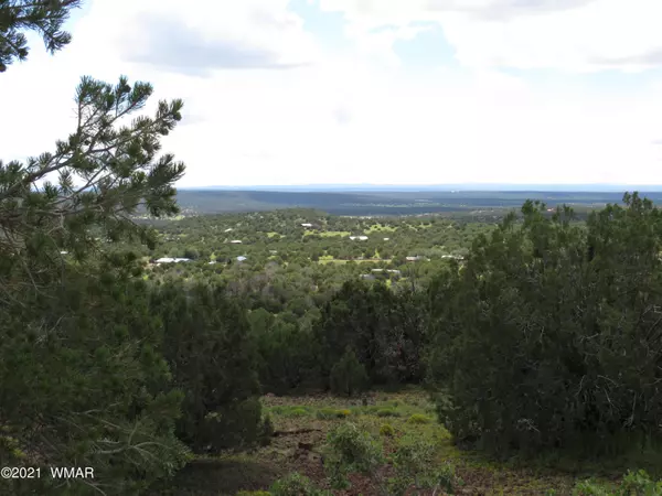 Concho, AZ 85924,Show Low Pines Unit 10 Lot #382