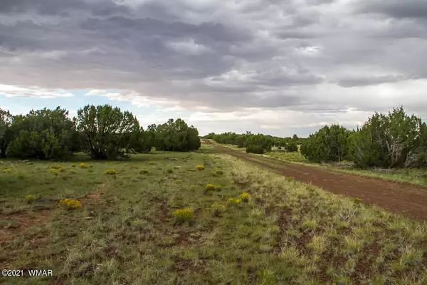 Concho, AZ 85924,Lot 2064 Park Show Low Unit 5