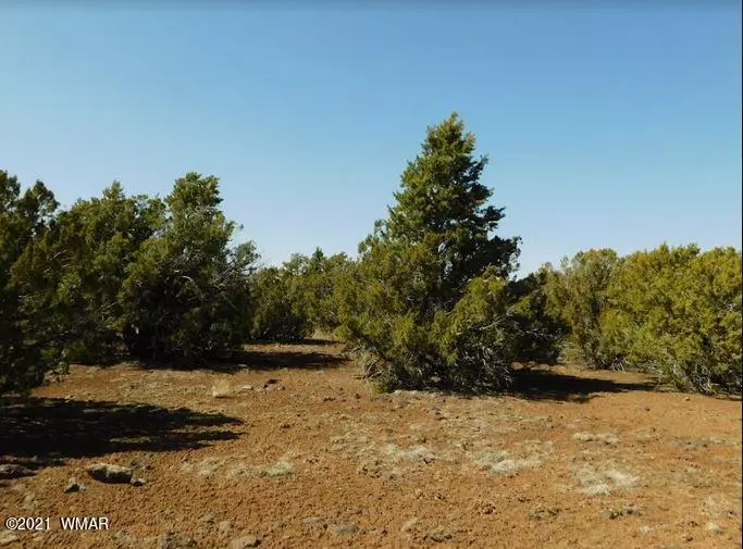 63 County Road 8112, Concho, AZ 85924