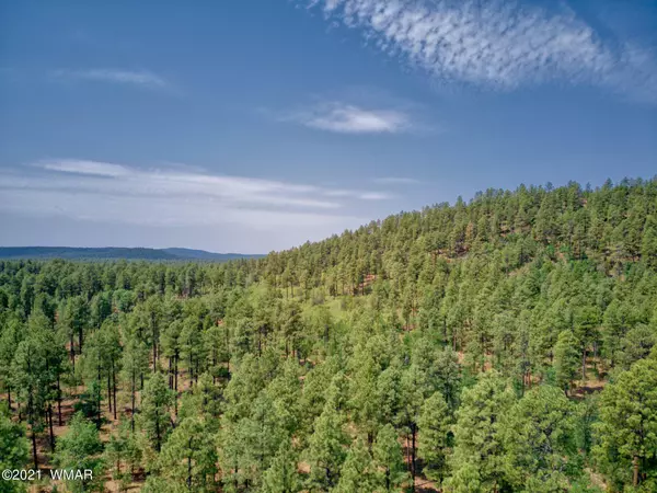 Pinetop, AZ 85935,1877 E Rim RD