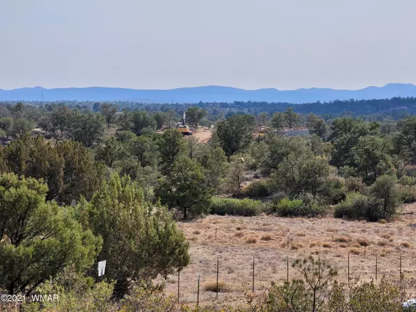 Prescott, AZ 86305,TBD Indian Ruins Rd 10.64 Acres