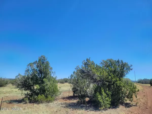 Concho, AZ 85924,TBD Lot 009C