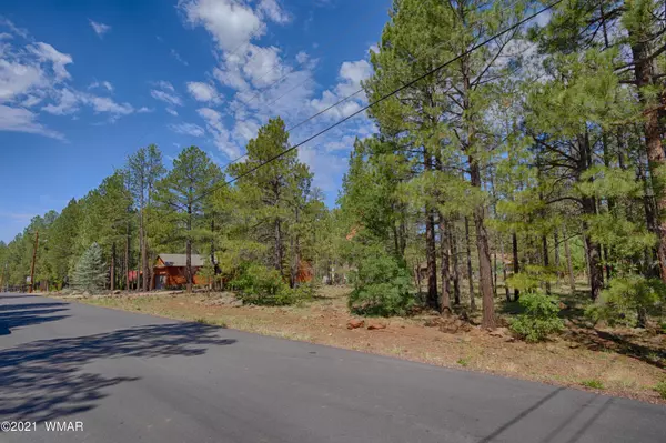 Pinetop, AZ 85935,7466 Buck Springs RD