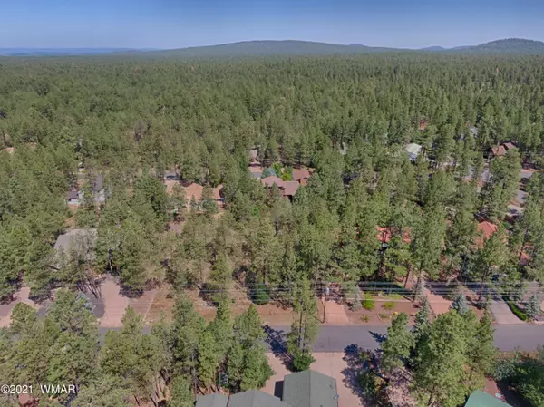 Pinetop, AZ 85935,7466 Buck Springs RD