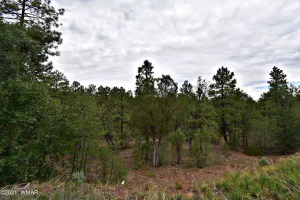 Lakeside, AZ 85929,7040 Leo LN