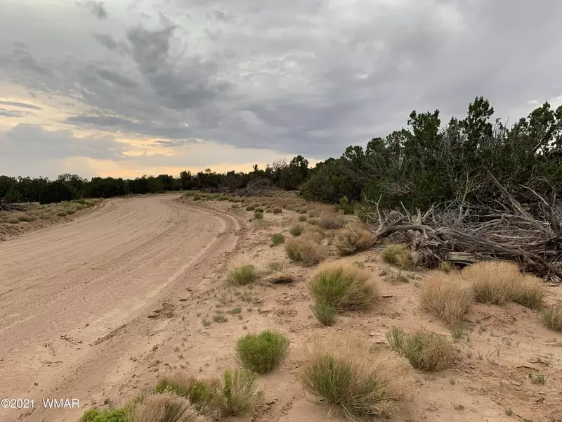 114 Red Sky Ranch, St. Johns, AZ 85936