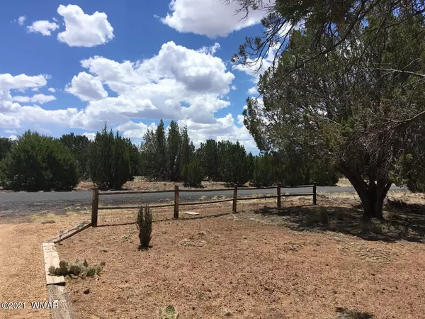 Concho, AZ 85924,65 County Road 5083