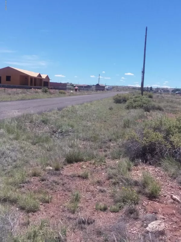 St. Johns, AZ 85936,4 parcels Apache County