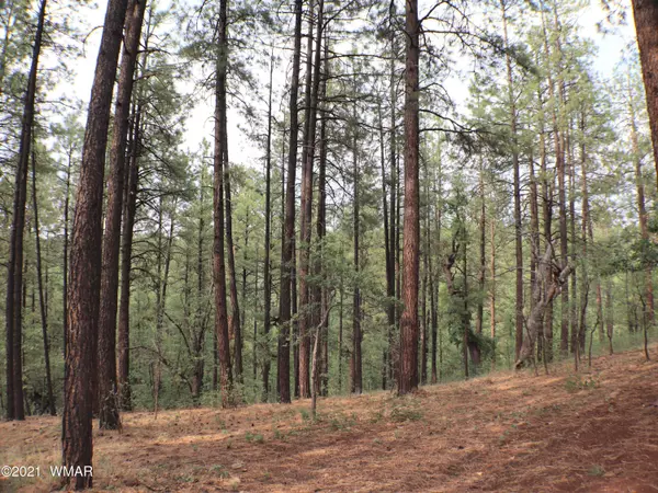 TBD E Woodchuck LN, Pinetop, AZ 85935