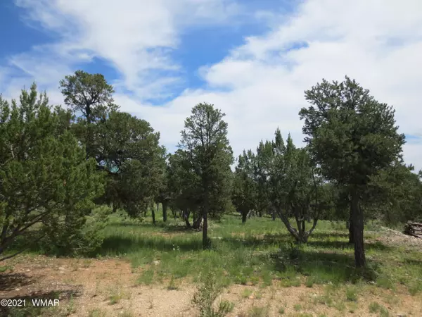 Overgaard, AZ 85933,2971 Lodgepole RD