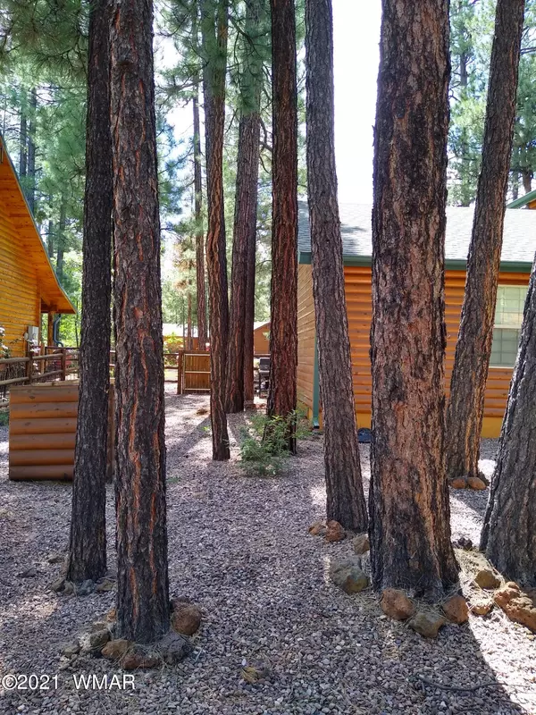 Pinetop, AZ 85935,6228 Tonto TRL