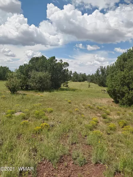 96 County Road 8307, Concho, AZ 85924