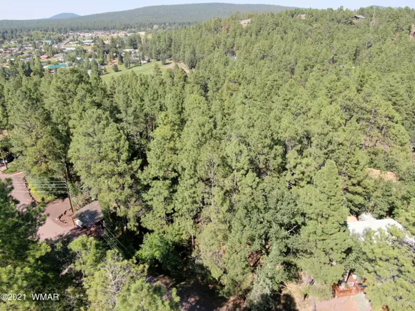 Pinetop, AZ 85935,1818 E Arrowhead LN