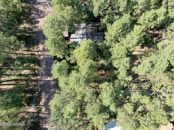 Pinetop, AZ 85935,1818 E Arrowhead LN