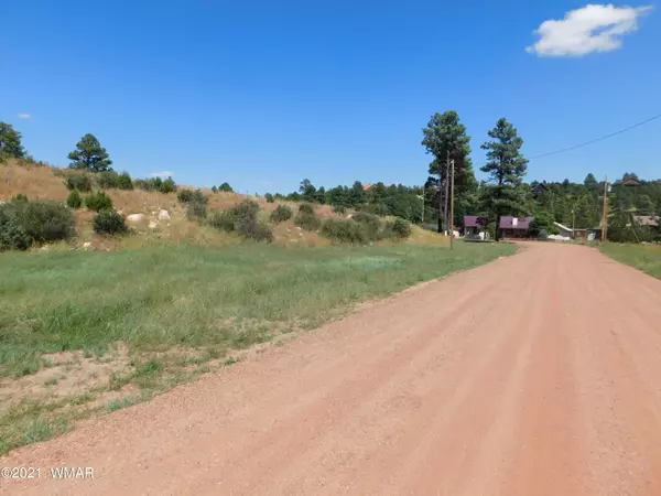 2806 Pine Hill DR, Overgaard, AZ 85933