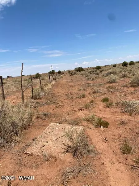 8874 Charolais TRL, Snowflake, AZ 85937