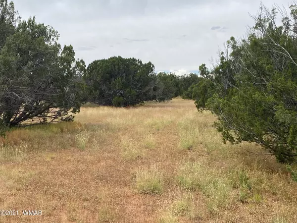 Concho, AZ 85924,137 County Road 8014