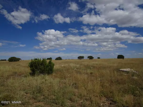 Concho Valley, AZ 85924,Lot 21 CR 5076