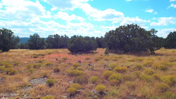 Concho, AZ 85924,14 County Road 8010