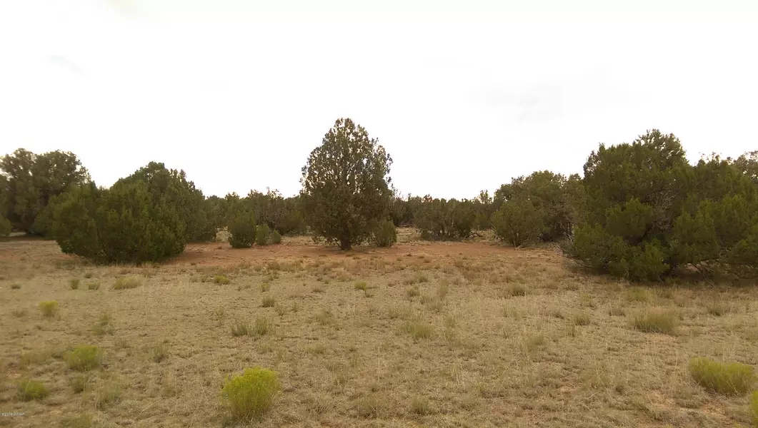 20 acres County Rd 5139, Concho, AZ 85924