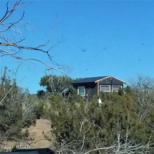 St. Johns, AZ 85936,L-120 C&E Witch Well Ranches