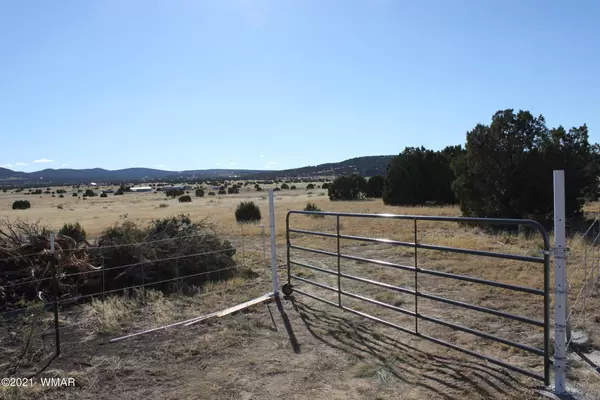 Concho, AZ 85924,TBD Hwy 61 185C