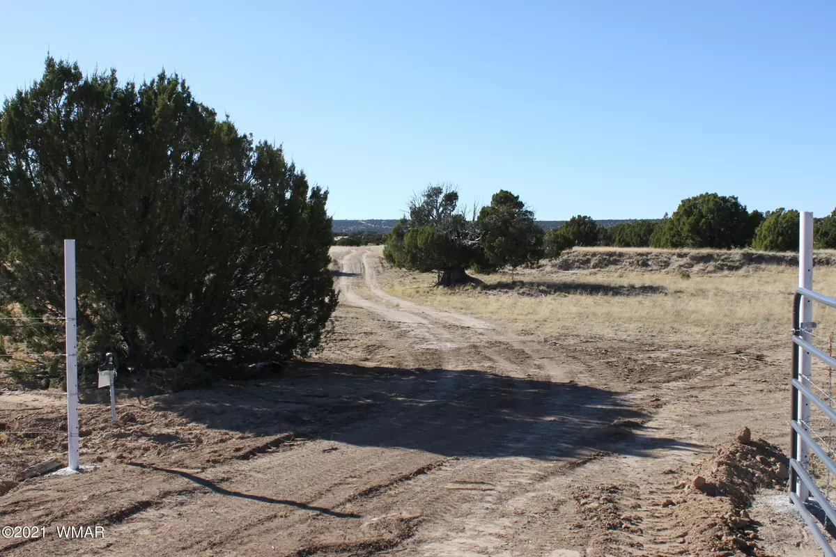 Concho Valley, AZ 85924,TBD HWY 61 185B