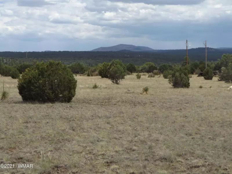 16 County Road 8011, Concho, AZ 85924