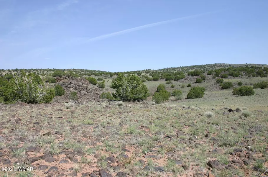 Lot 77 Big Valley Ranches, Concho, AZ 85924