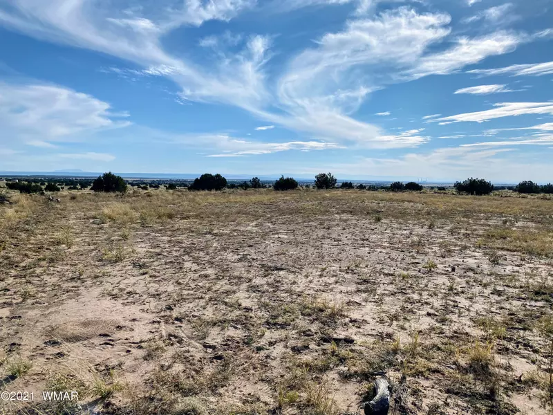 Lot 405 WOODLAND VALLEY RANCH UNIT 4 L, St. Johns, AZ 85936