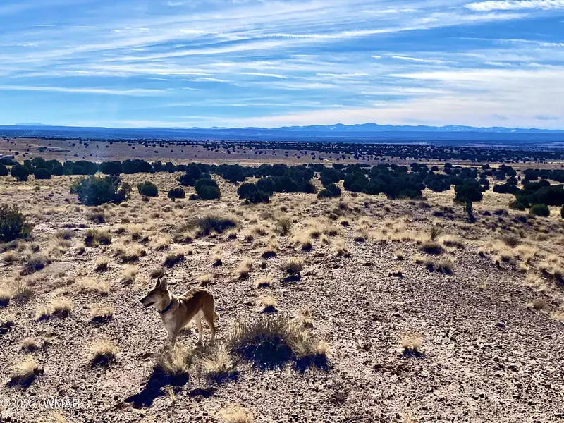 River Meadows Ranch Unit 2 Lot #120, Concho, AZ 85924