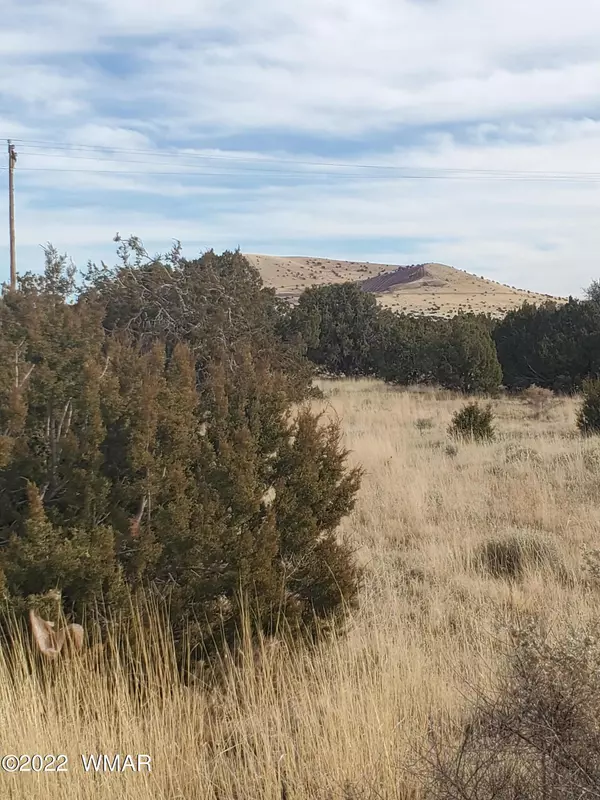 Concho, AZ 85924,4 Clubhouse Lane