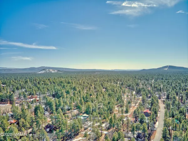 Pinetop, AZ 85935,3978 E Bermuda CIR