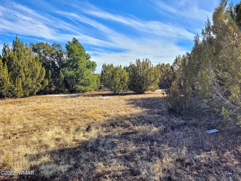 54 county road 8093, Concho, AZ 85924