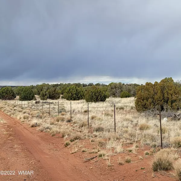 Concho, AZ 85924,490 County Road N9048